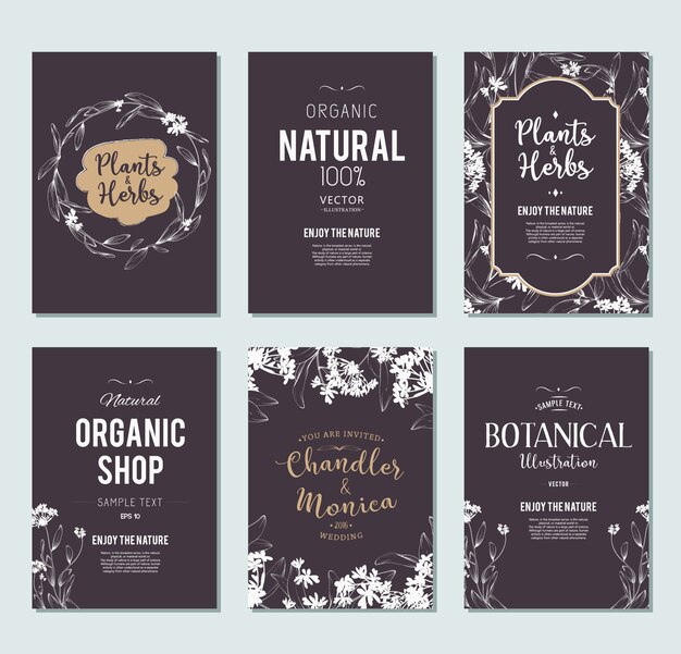 Conjunto de banners de plantas y hierbas. Elemento para diseño o tarjeta de invitación.