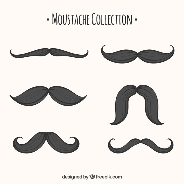 Conjunto de bigotes dibujados a mano
