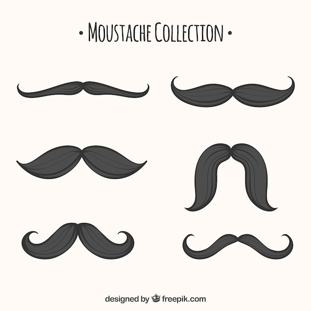 Conjunto de bigotes dibujados a mano