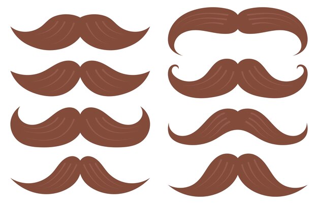Conjunto de bigotes estilo plano