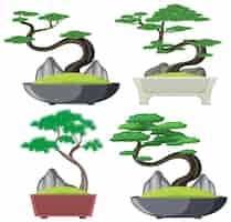 Vector gratuito conjunto, de, bonsai, árbol, aislado