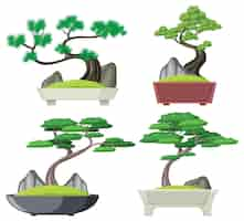 Vector gratuito conjunto, de, bonsai, árbol, aislado