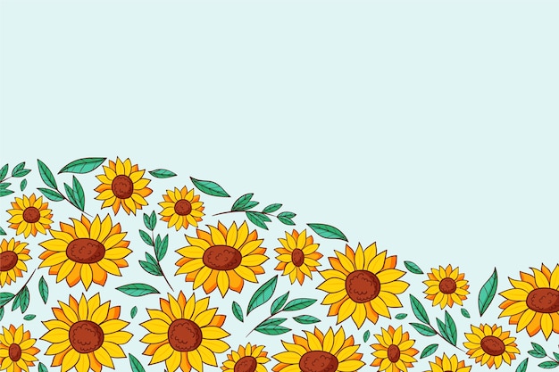 Conjunto de borde de girasol dibujado a mano