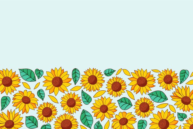 Conjunto de borde de girasol dibujado a mano