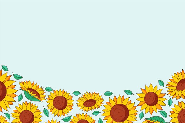 Conjunto de borde de girasol dibujado a mano