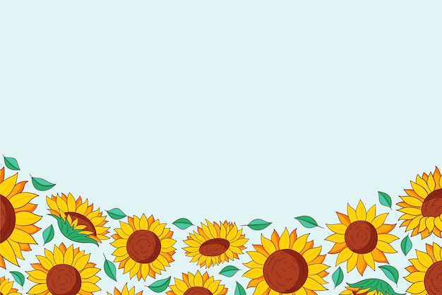 Conjunto de borde de girasol dibujado a mano