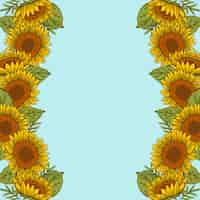 Vector gratuito conjunto de borde de girasol dibujado a mano