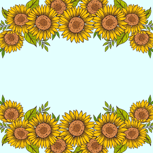 Vector gratuito conjunto de borde de girasol dibujado a mano