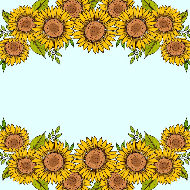 Conjunto de borde de girasol dibujado a mano