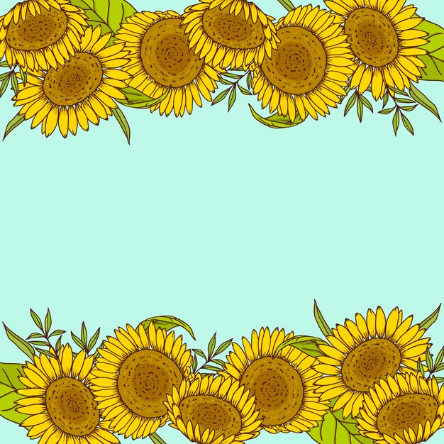 Conjunto de borde de girasol dibujado a mano