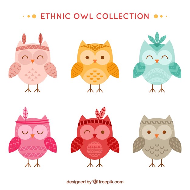 Conjunto de búhos graciosos étnicos