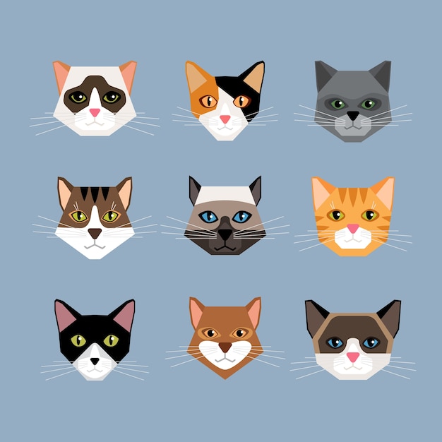 Conjunto de cabezas de gatos en estilo plano. Cara de gatito, bigotes y orejas, hocico y lana.