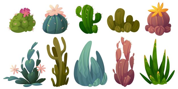 Conjunto de cactus, cactus del desierto flores stetsonia, carnegia, selenicereus y rhipsalidopsis con saguaro u opuntia. Dibujos animados de suculentas florecientes con hojas verdes espinosas y flores ilustración vectorial