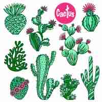 Vector gratuito conjunto de cactus de colores