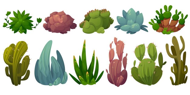 Conjunto de cactus, flores del desierto opuntia, monilaria,
