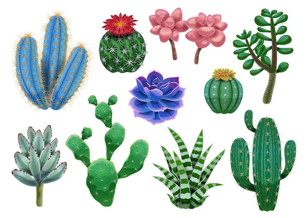 Conjunto de cactus con imágenes aisladas de varias plantas exóticas y coloridas flores tropicales en la ilustración de vector de fondo en blanco