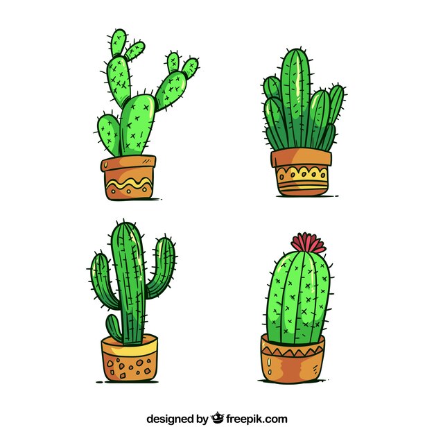 Conjunto de cactus