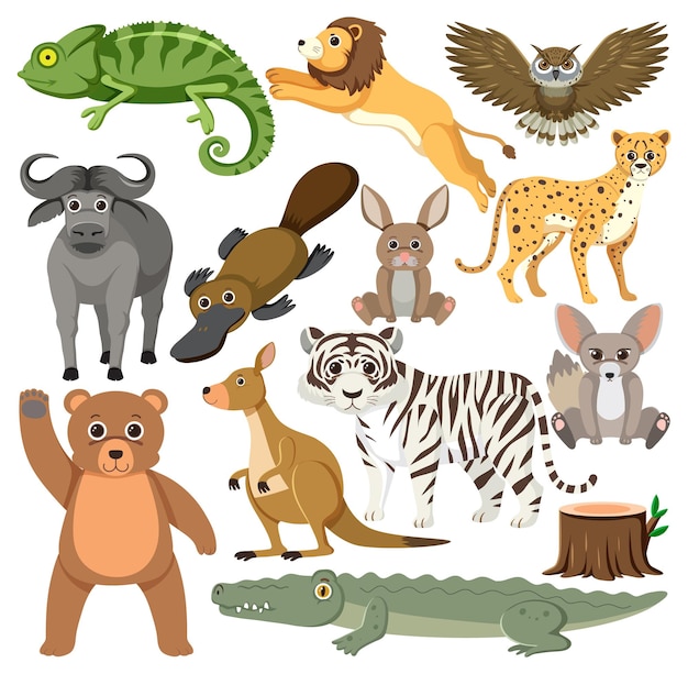 Conjunto de carácter animal mixto.