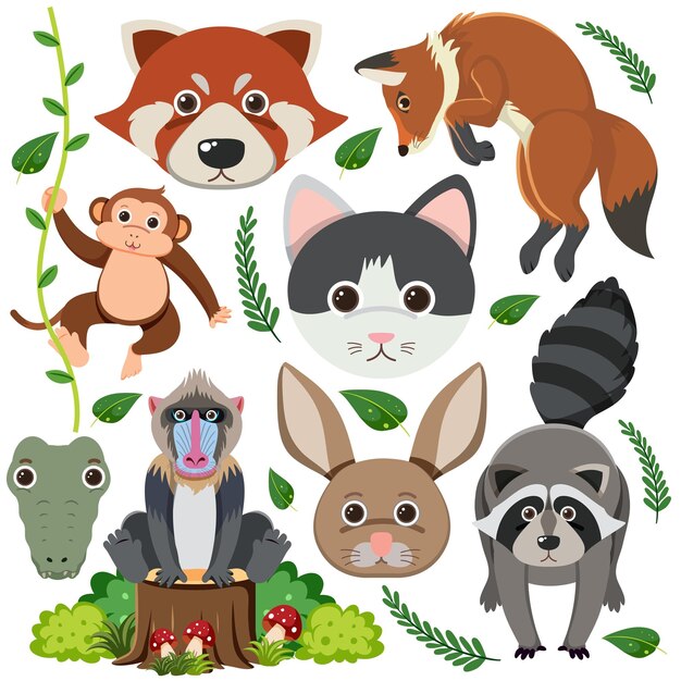 Conjunto de carácter animal mixto.