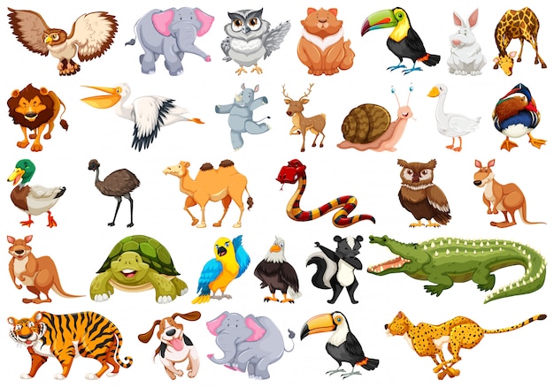 Vector gratuito conjunto de caracteres animales.