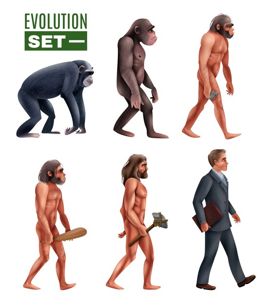 Conjunto de caracteres de etapas de desarrollo humano