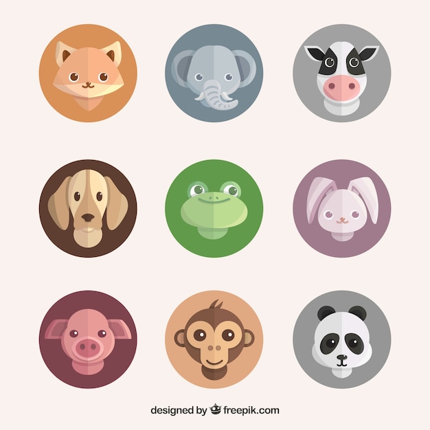 Conjunto de caras de animales en círculos