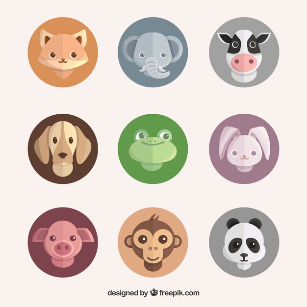Conjunto de caras de animales en círculos