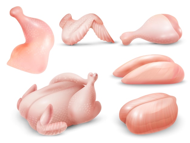 Conjunto de carne de pollo cruda realista con ilustración de vector aislado de cuarto de pierna de ala de pechuga de canal