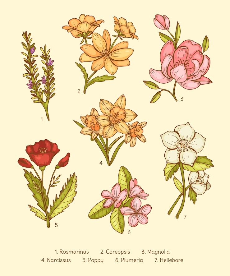 Vector gratuito conjunto de carta de flores botánicas dibujadas a mano