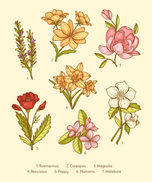 Conjunto de carta de flores botánicas dibujadas a mano