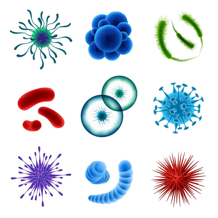 Vector gratuito conjunto de células de virus realista