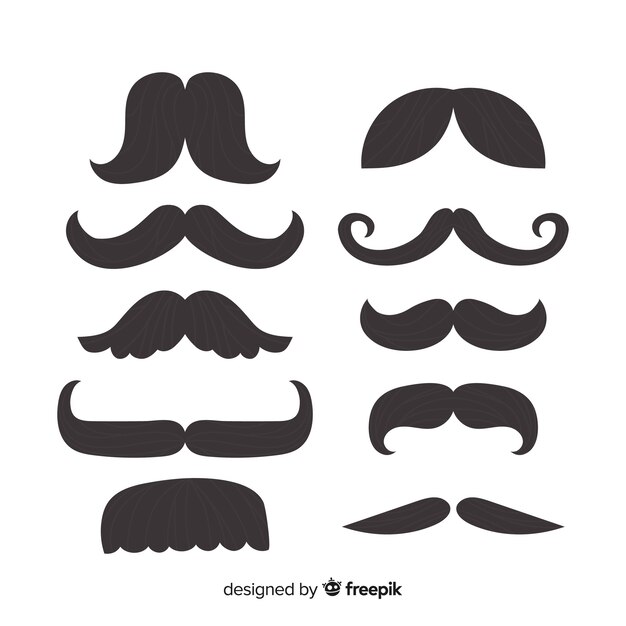 Conjunto clásico de bigotes con diseño plano