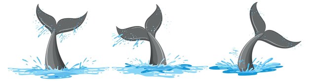 Conjunto de colas de una ballena en el agua.