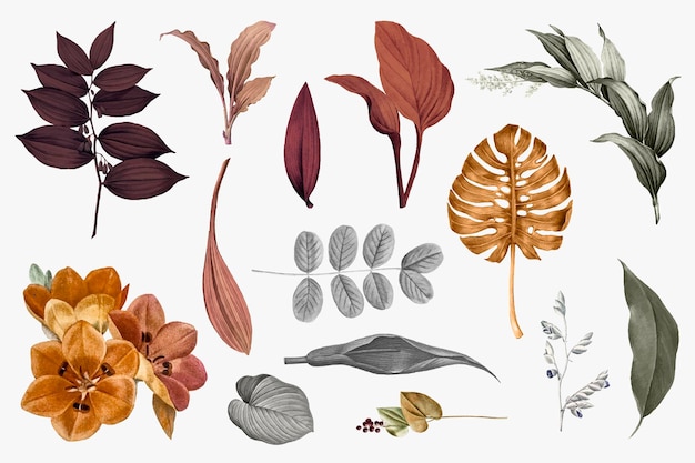 Conjunto de colección de hojas tropicales