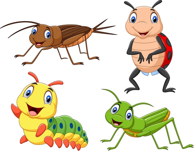 Imágenes de Insectos Animados | Vectores, fotos de stock y PSD gratuitos