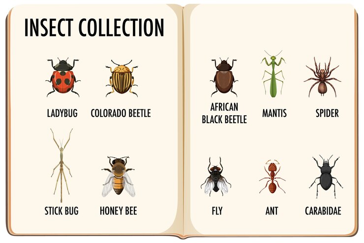 Vector gratuito conjunto de colección de insectos en el libro.