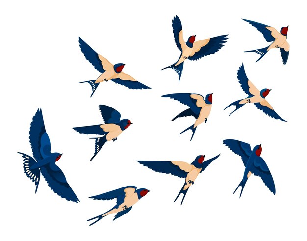 Conjunto de colección de varias vistas de pájaro volador Bandada de golondrinas aisladas sobre fondo blanco. Ilustración de dibujos animados