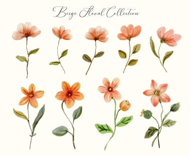 Conjunto de colecciones de elementos vectoriales florales de acuarela