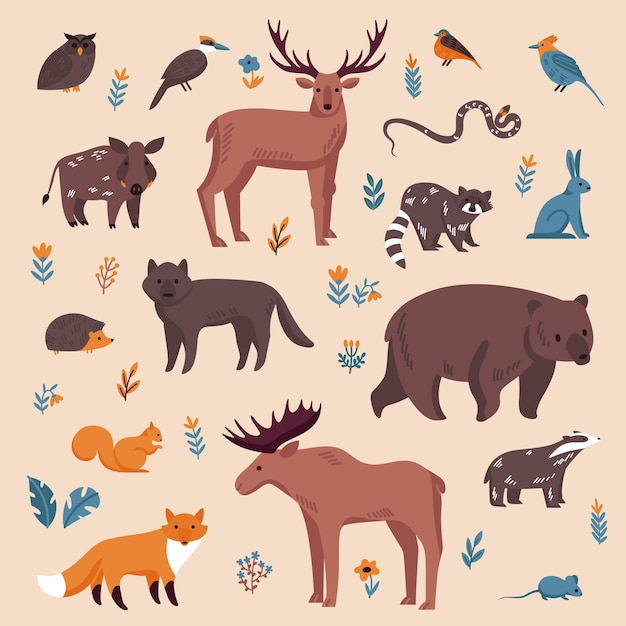 Conjunto de colores de animales del bosque con imágenes aisladas de animales salvajes pequeños y grandes con hojas de flores ilustración vectorial