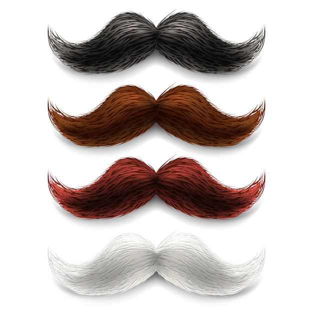 Conjunto de colores de bigotes falsos
