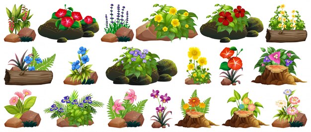 Conjunto de coloridas flores sobre rocas y madera