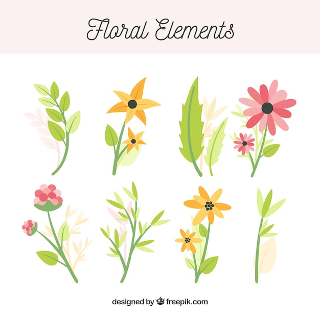 Vector gratuito conjunto colorido de elementos florales con diseño plano