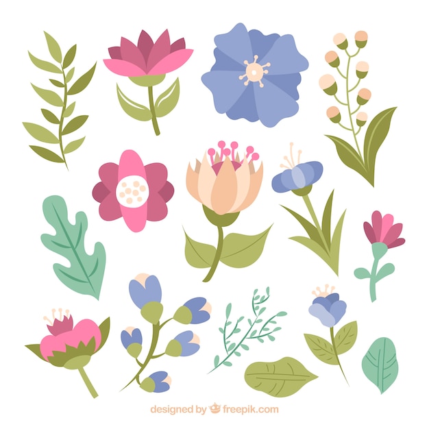 Conjunto colorido de elementos florales con diseño plano