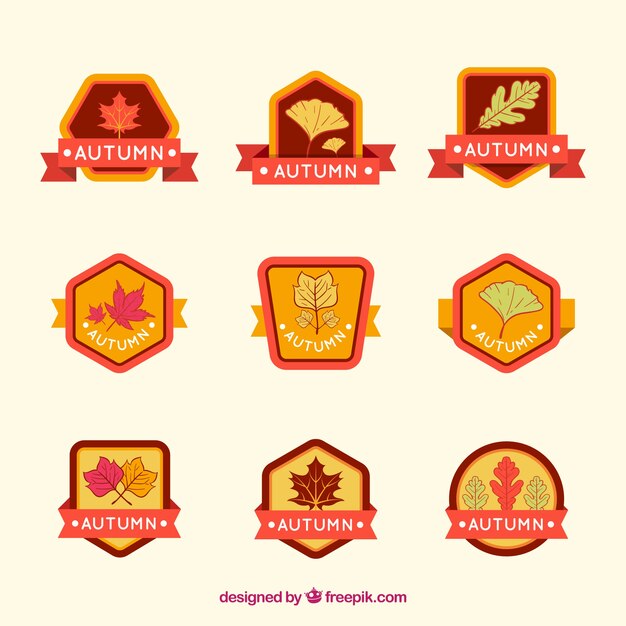 Conjunto colorido de insignias de otoño planas