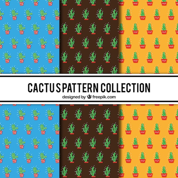 Conjunto colorido de patrones de cactus