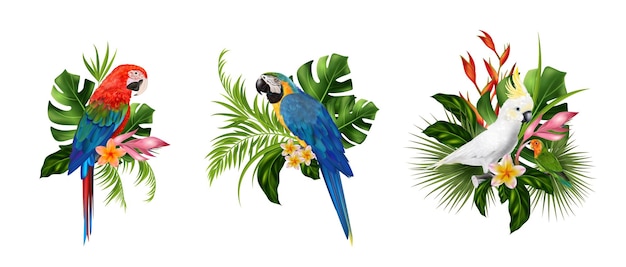 Vector gratuito conjunto con composiciones aisladas de imágenes realistas de loros y hojas exóticas con flores en ilustración vectorial de fondo en blanco