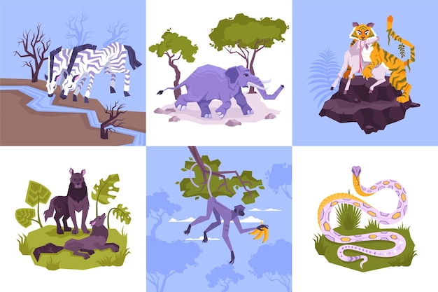 Conjunto de composiciones cuadradas con personajes planos de plantas de la selva y animales tropicales con ilustración de depredadores de serpientes