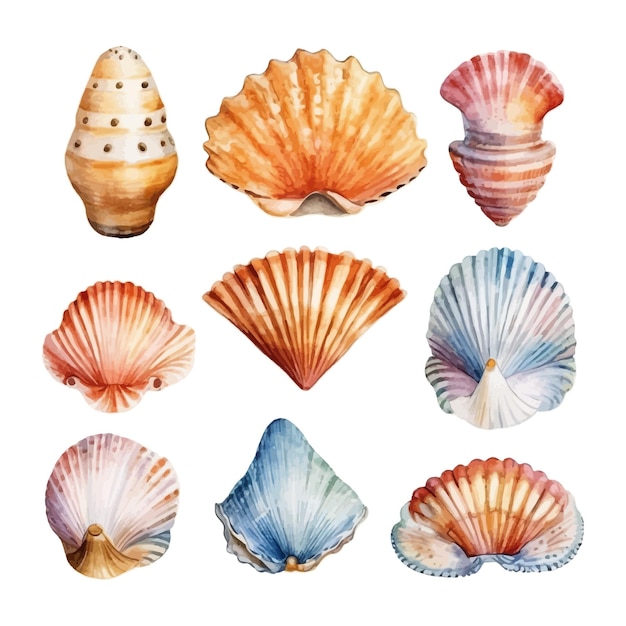 Conjunto de conchas marinas de acuarela en imágenes prediseñadas de mar de ilustración aislada