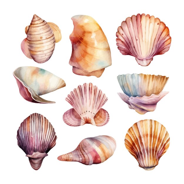 Conjunto de conchas marinas de acuarela en imágenes prediseñadas de mar de ilustración aislada