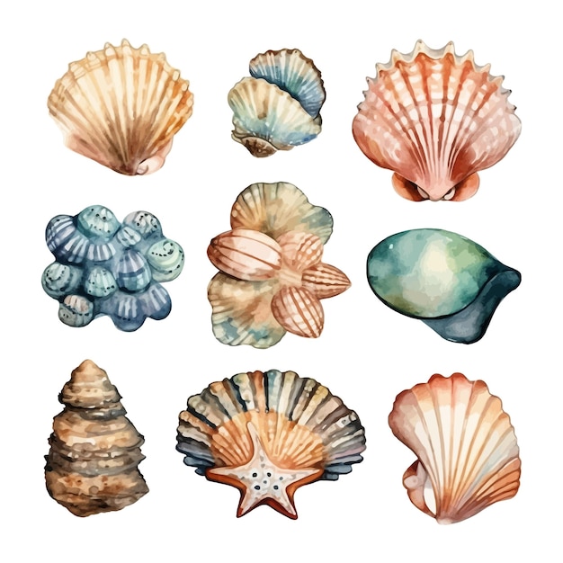 Vector gratuito conjunto de conchas marinas de acuarela en imágenes prediseñadas de mar de ilustración aislada